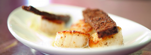 scallops-300x110