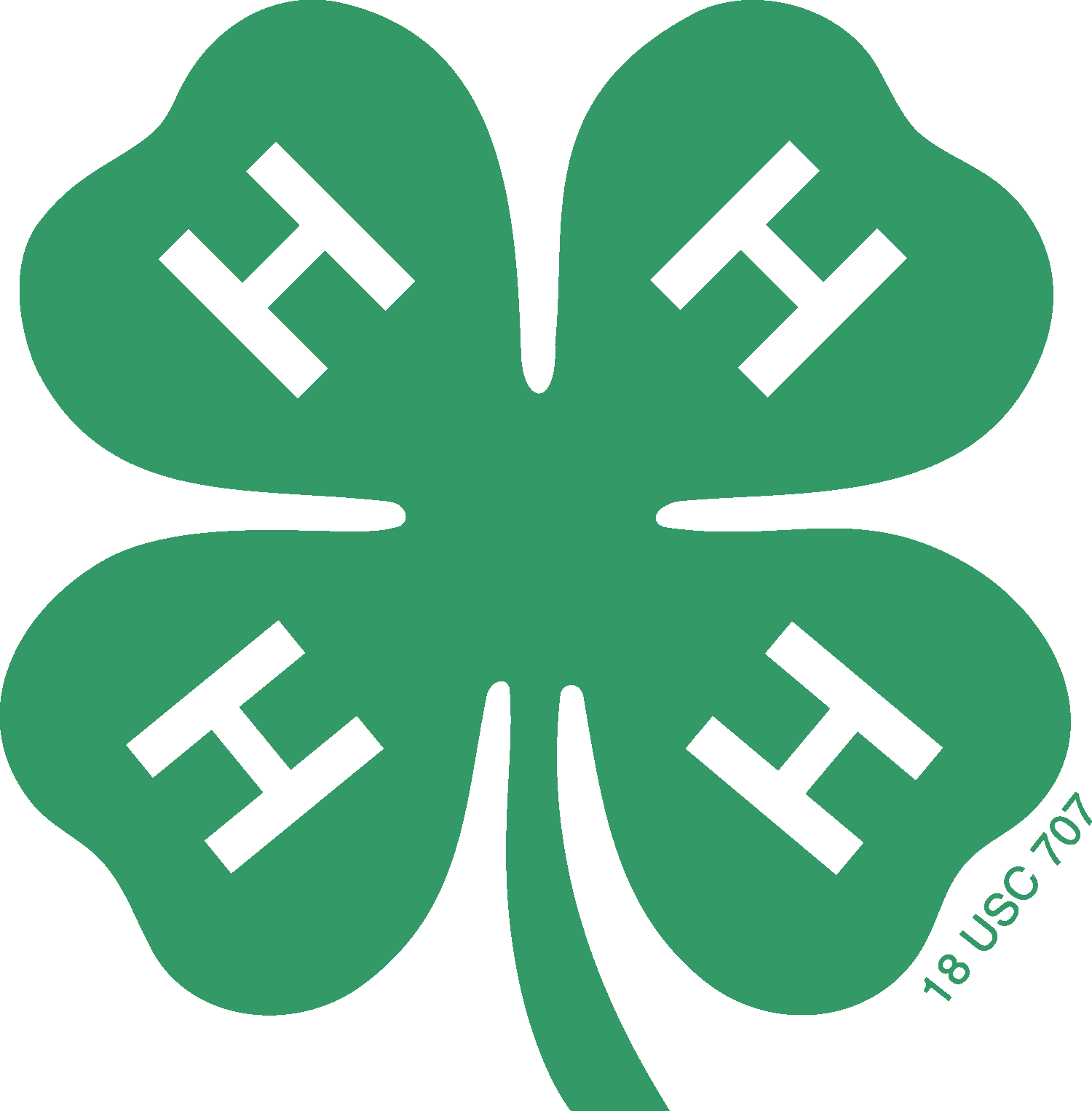 4H Icon