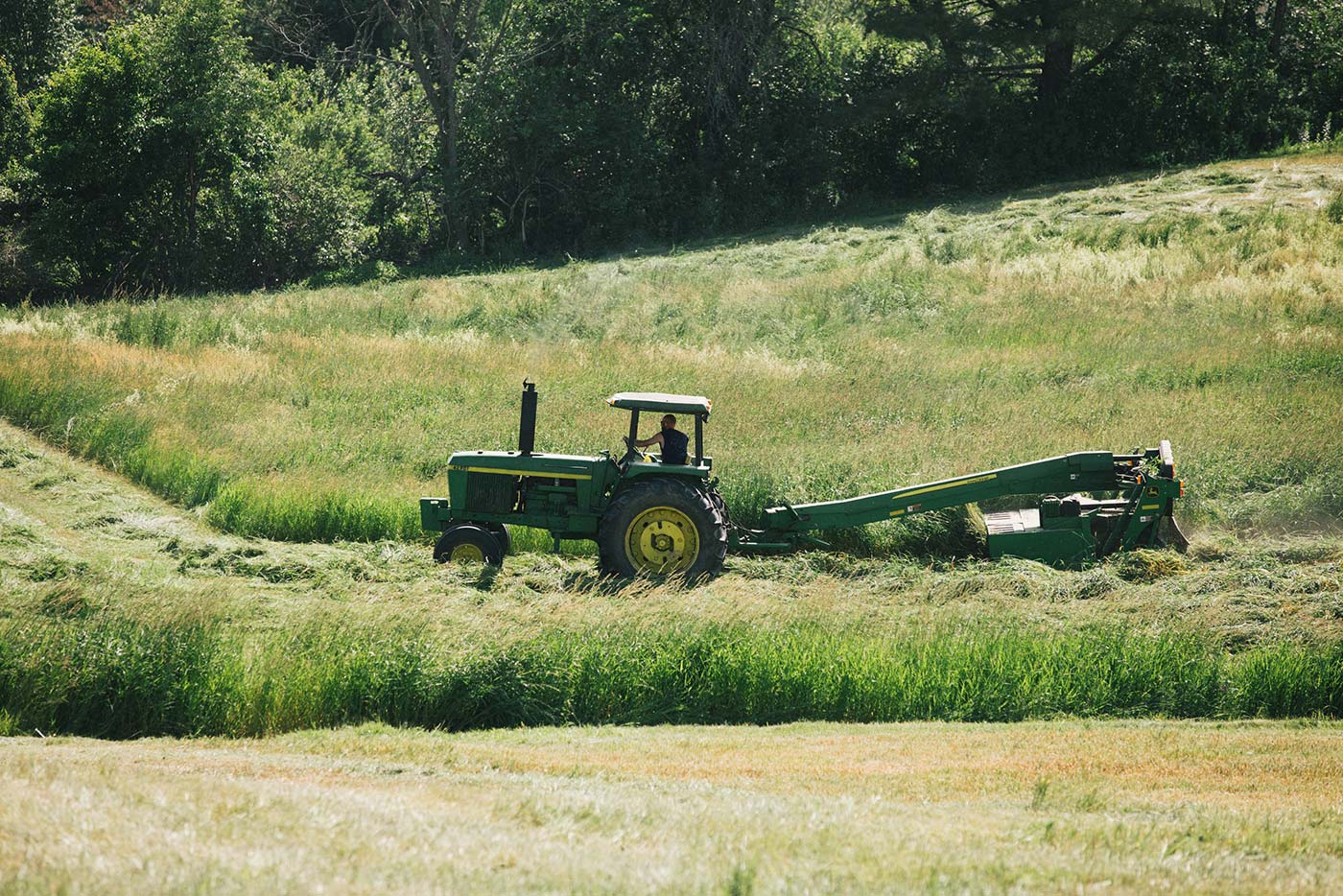 https://www.oakhurstdairy.com/wp-content/uploads/2021/09/farmer-imgs-halledge2-150x150.jpg